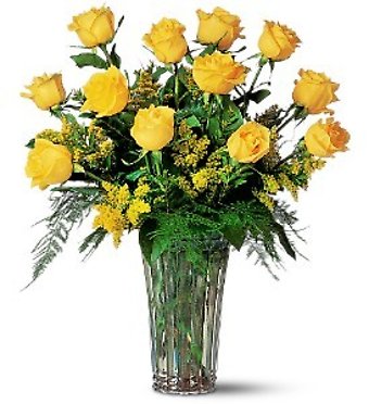 Dozen Yellow Roses and filler