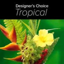 Designers Choice - Tropical Flowers