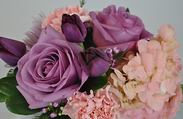 Blushing Blossoms