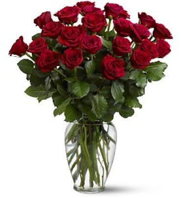 Two Dozen Red Roses - Platinum Collection